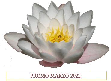 promozioni intimo, cosmesi, occhiali