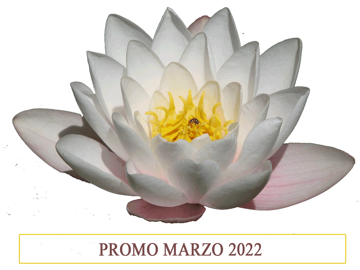 promozioni intimo, cosmesi, occhiali